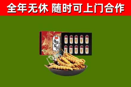 新洲区回收冬虫夏草价格